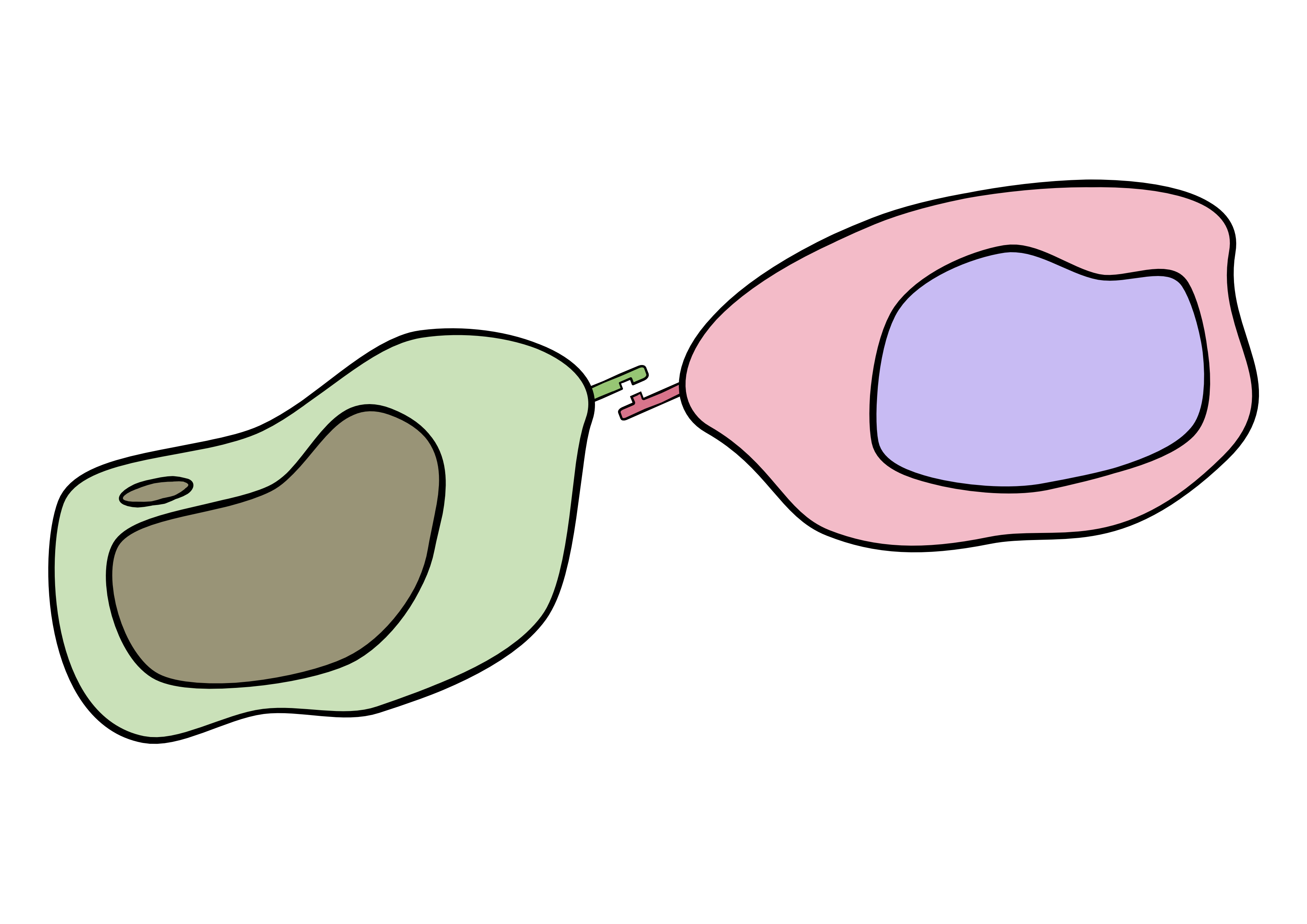 Tracking cell-cell communications.