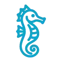 Seahorse XFe96