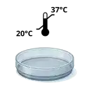 Test Tube Icon